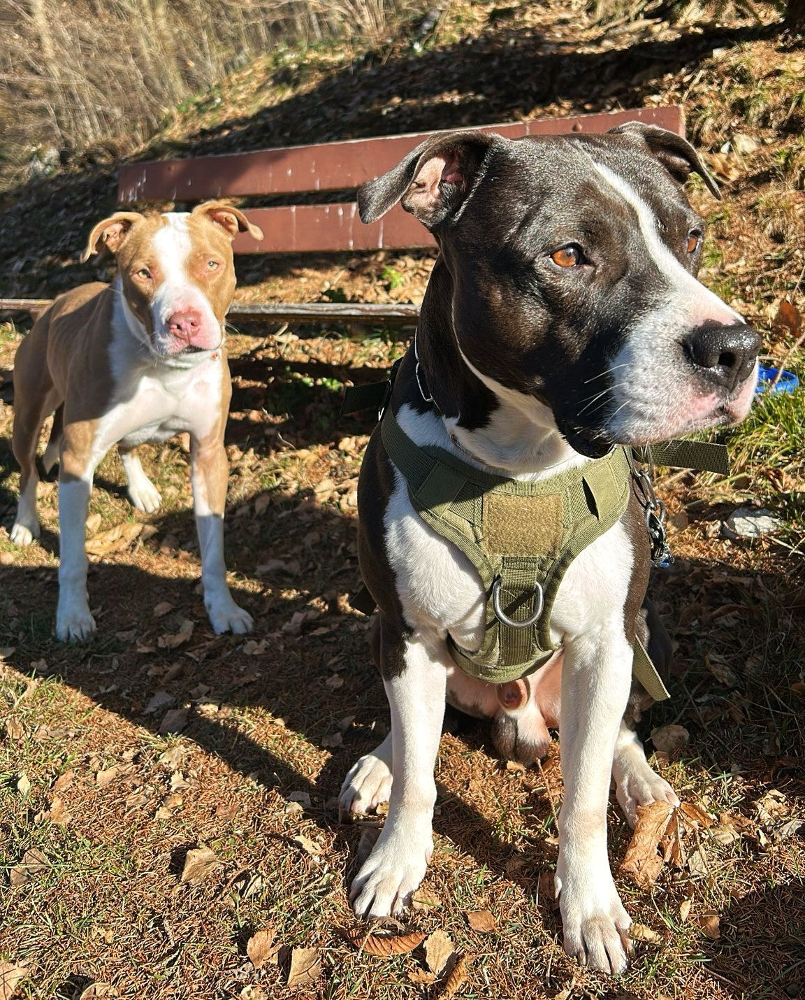 Le storie che funzionano non sono un caso