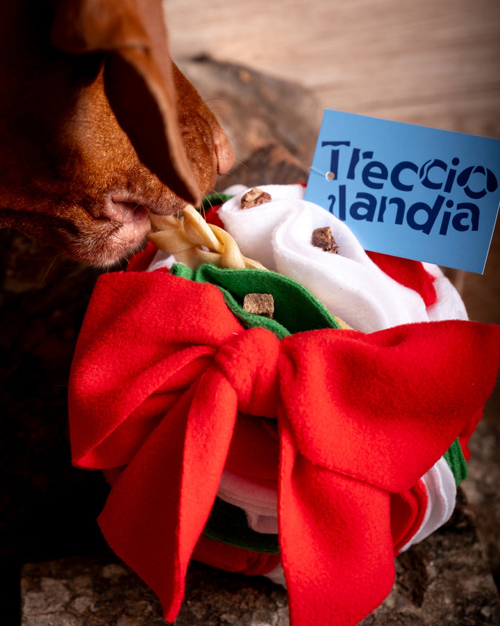 Regalo di Natale per cani: snuffle ball e premi naturali