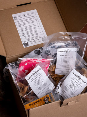 Pasqua per cani: cosa scegliere (davvero) e perché evitare i soliti snack