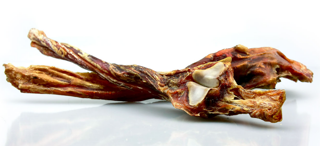 Tendini Achille Di Cavallo Essiccato *1PZ*