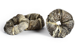 Anelli di Merluzzo Essiccati per Cani – Snack Naturale Ricco di Omega‑3 (200g)