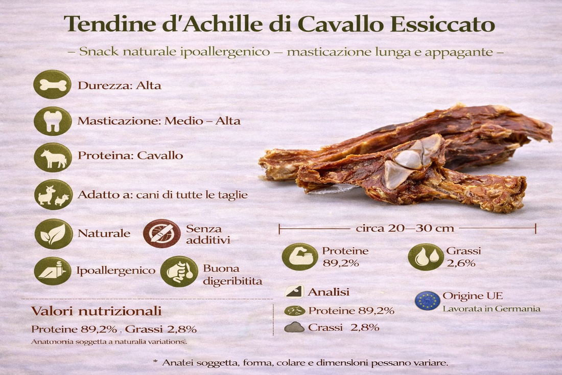 Tendini Achille Di Cavallo Essiccato *1PZ*