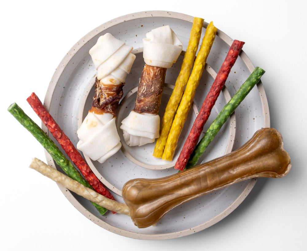 Il tuo cane non è fatto per mangiare plastica.