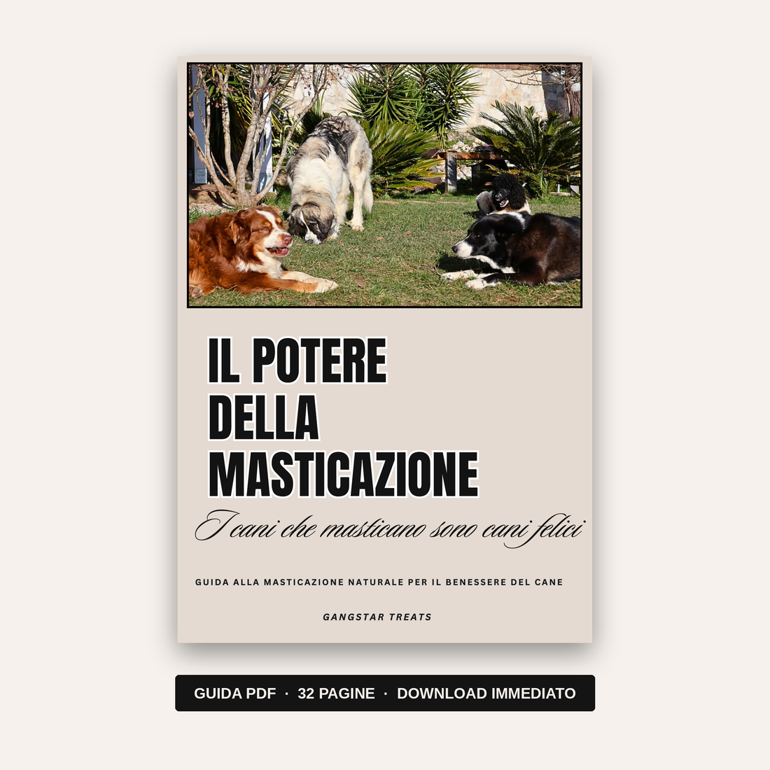 Il potere della masticazione – Guida PDF ai masticativi naturali per cani
