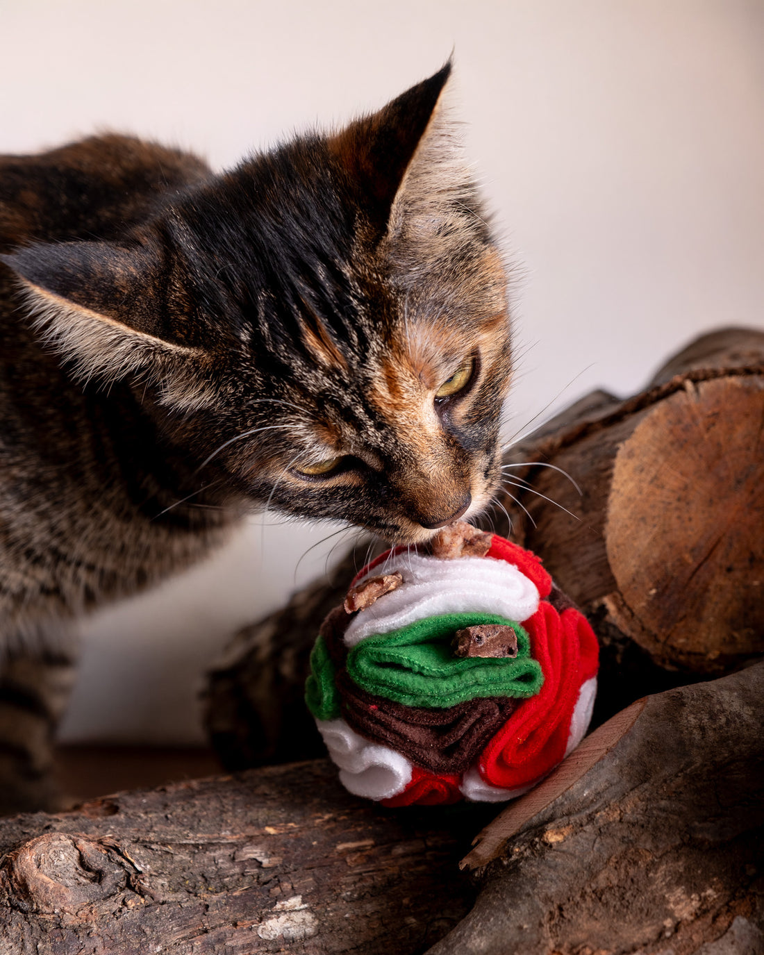 Il Bottino di Natale - Gangstar Treats × Trecciolandia