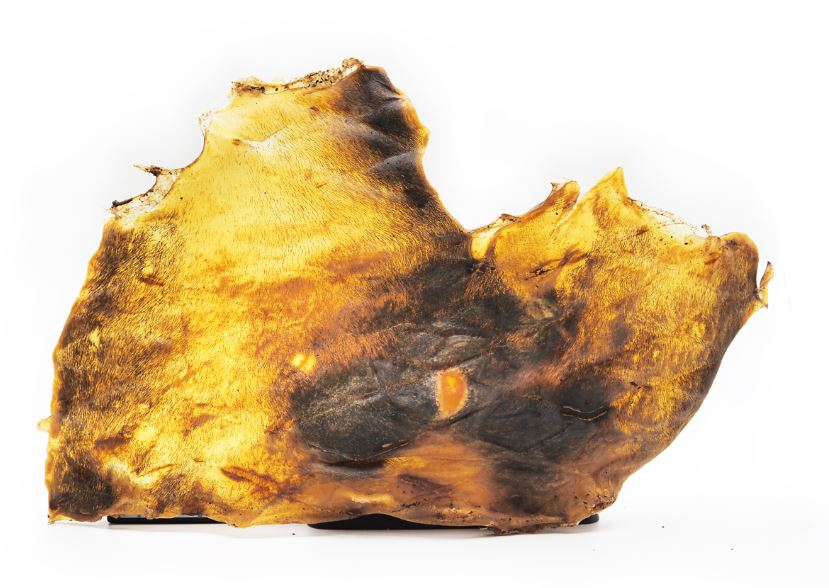 "Piatti" Scalpo di cavallo  18-25 cm  - 250gr