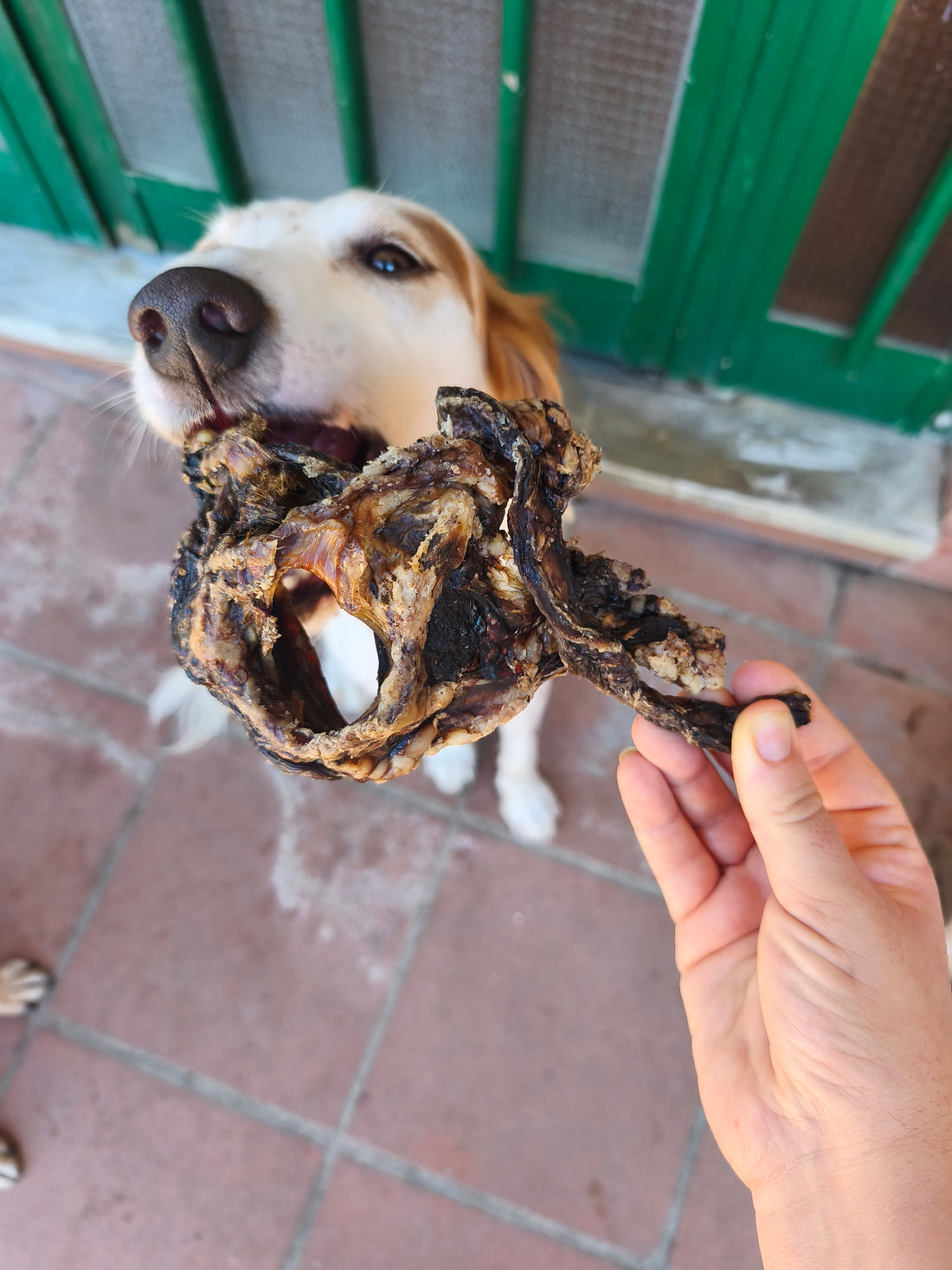 Laringi di Manzo Essiccate per Cani – Monoproteiche, Ricche di Collagen