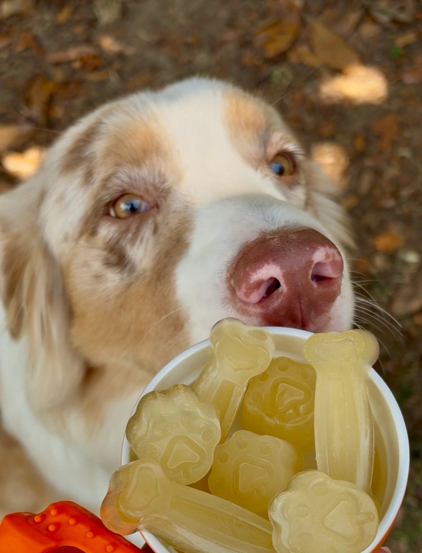 Brodo di Cervo in Polvere per Cani | Collagene Naturale & Topper Premium