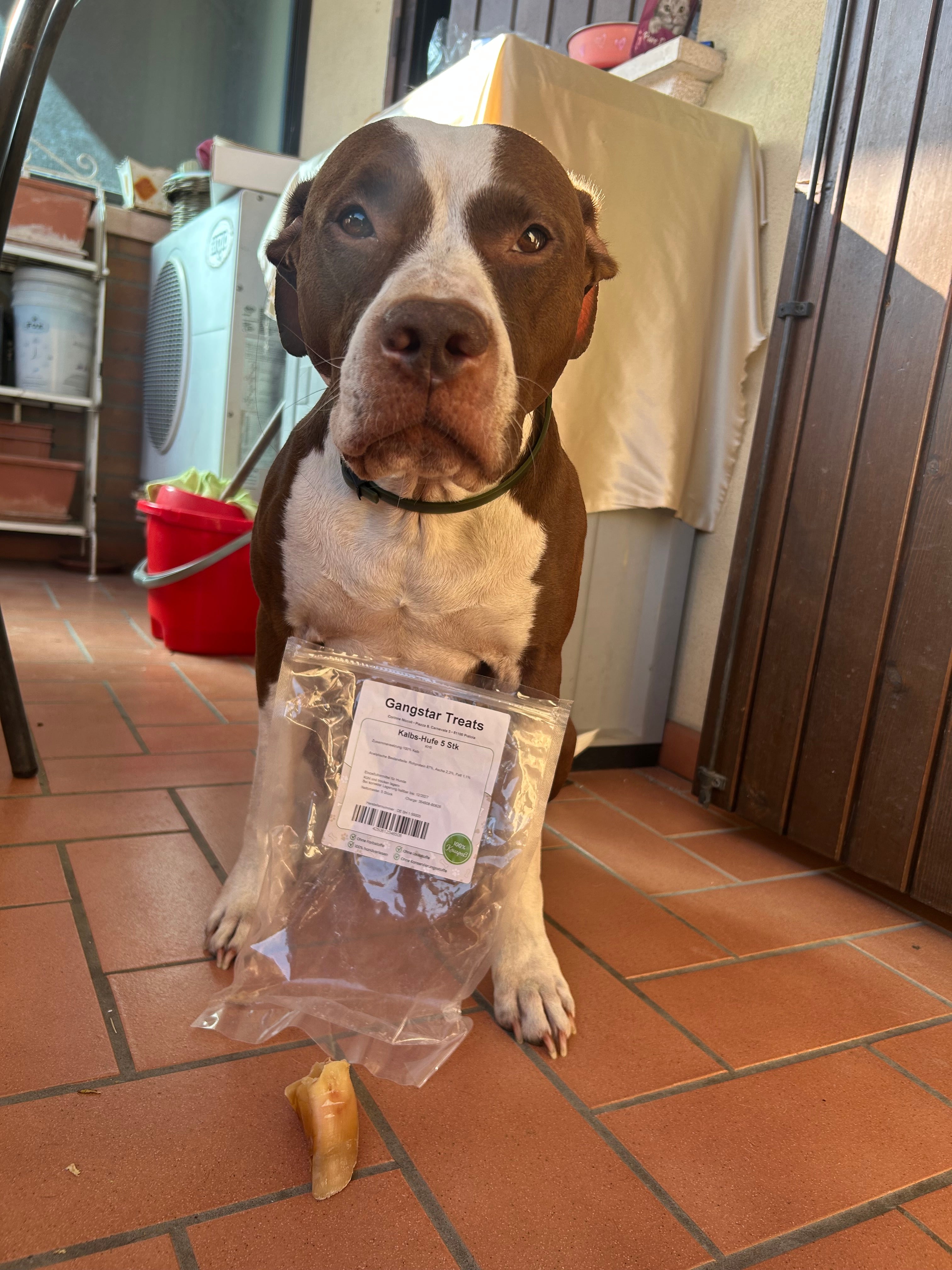 Zoccoli di Vitello per Cani – Snack Naturale Duro e Lunga Durata (5 Pezzi)