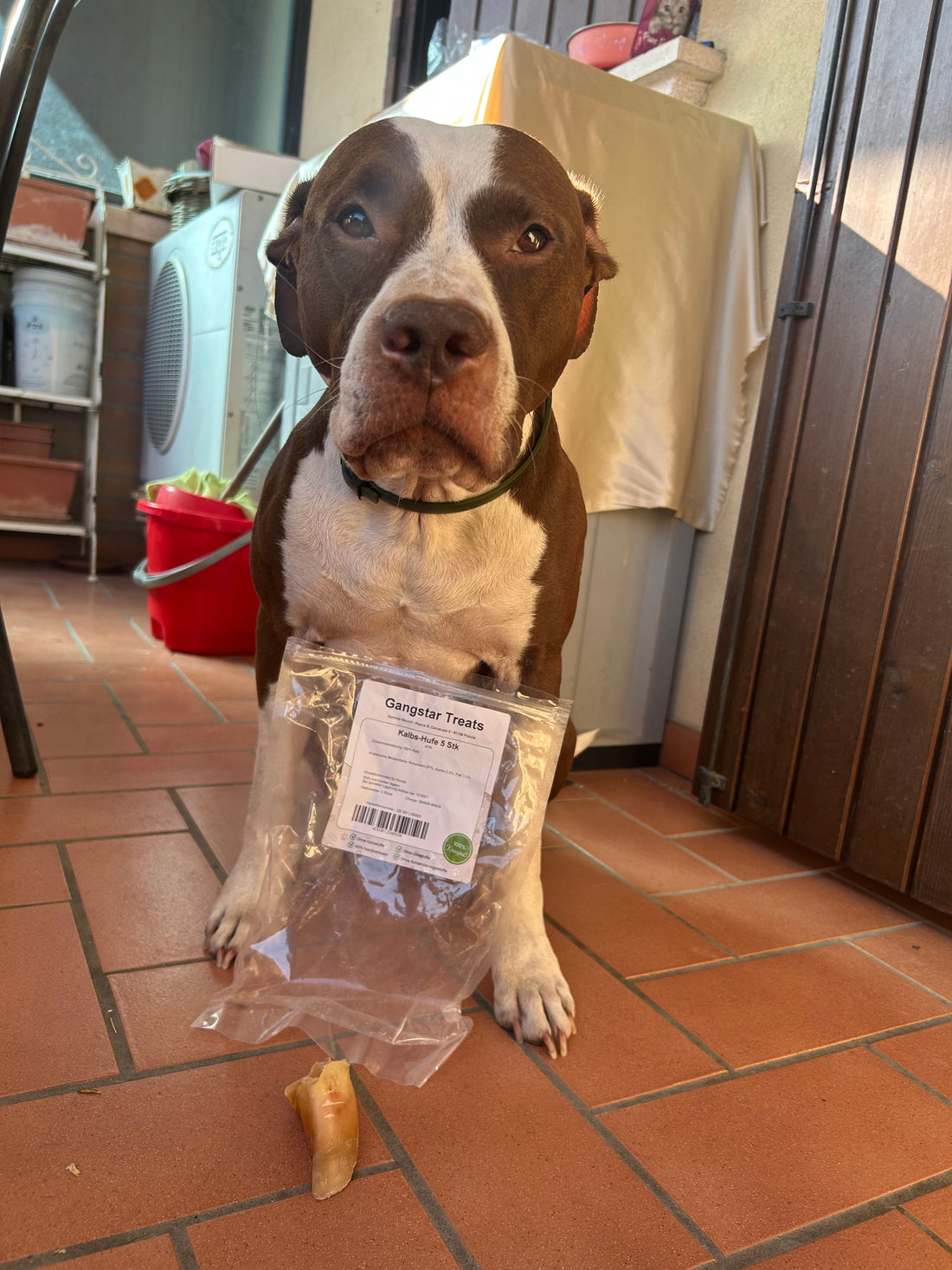 Zoccoli di Vitello per Cani – Snack Naturale Duro e Lunga Durata (5 Pezzi)
