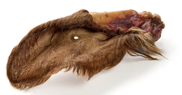 Orecchie di Manzo essiccate CON PELO