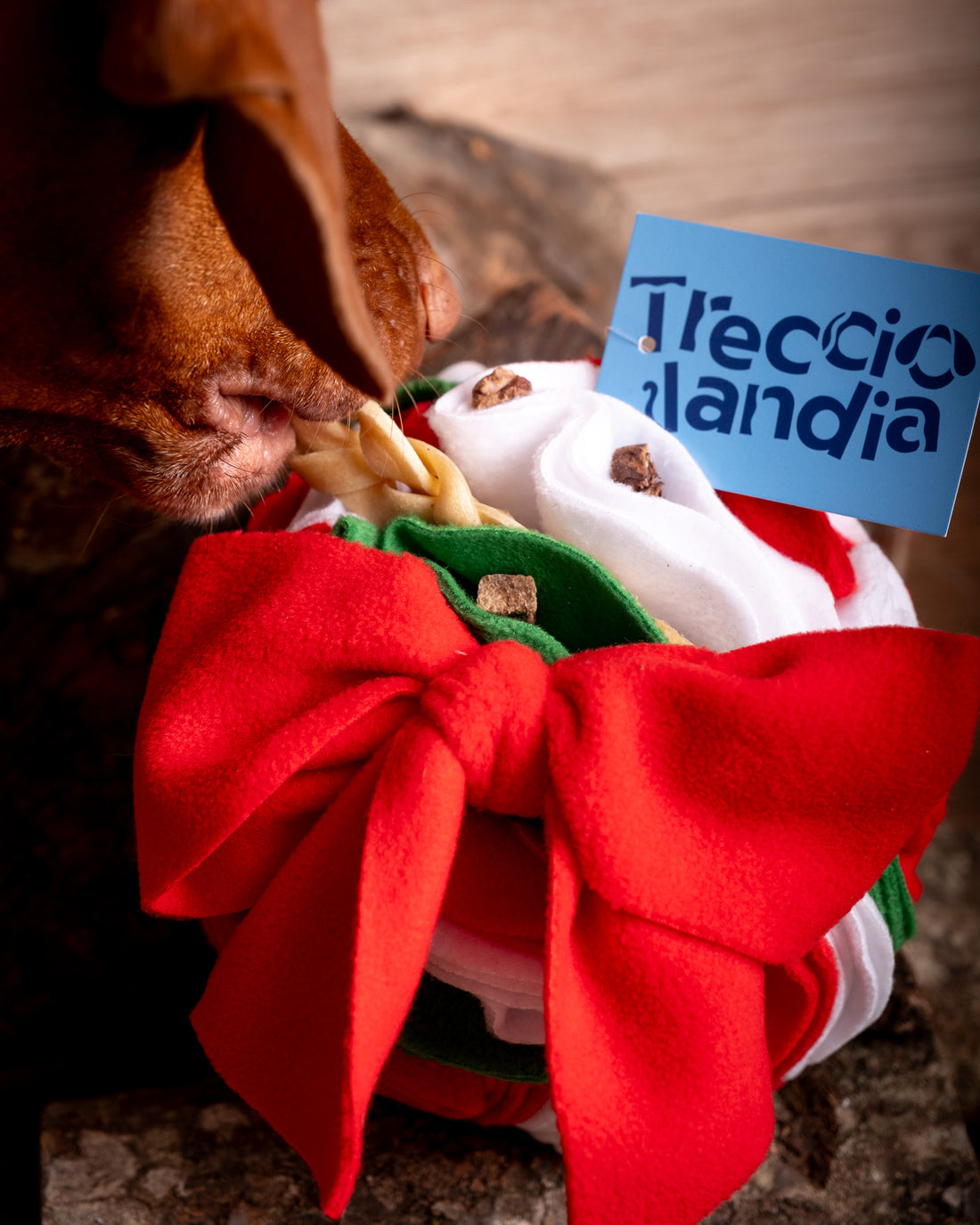 Il Bottino di Natale - Gangstar Treats × Trecciolandia