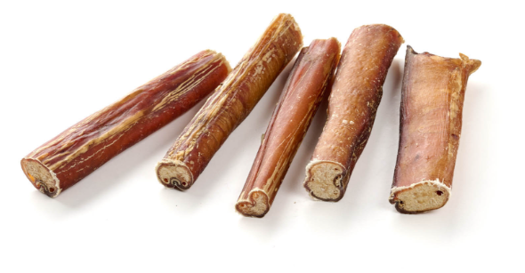 Nerbo di Toro Essiccato 12 cm – Confezione da 5 Stick