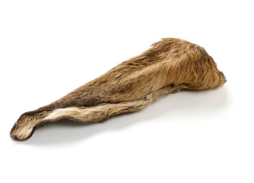 Orecchie Di Cervo *2 PEZZI*