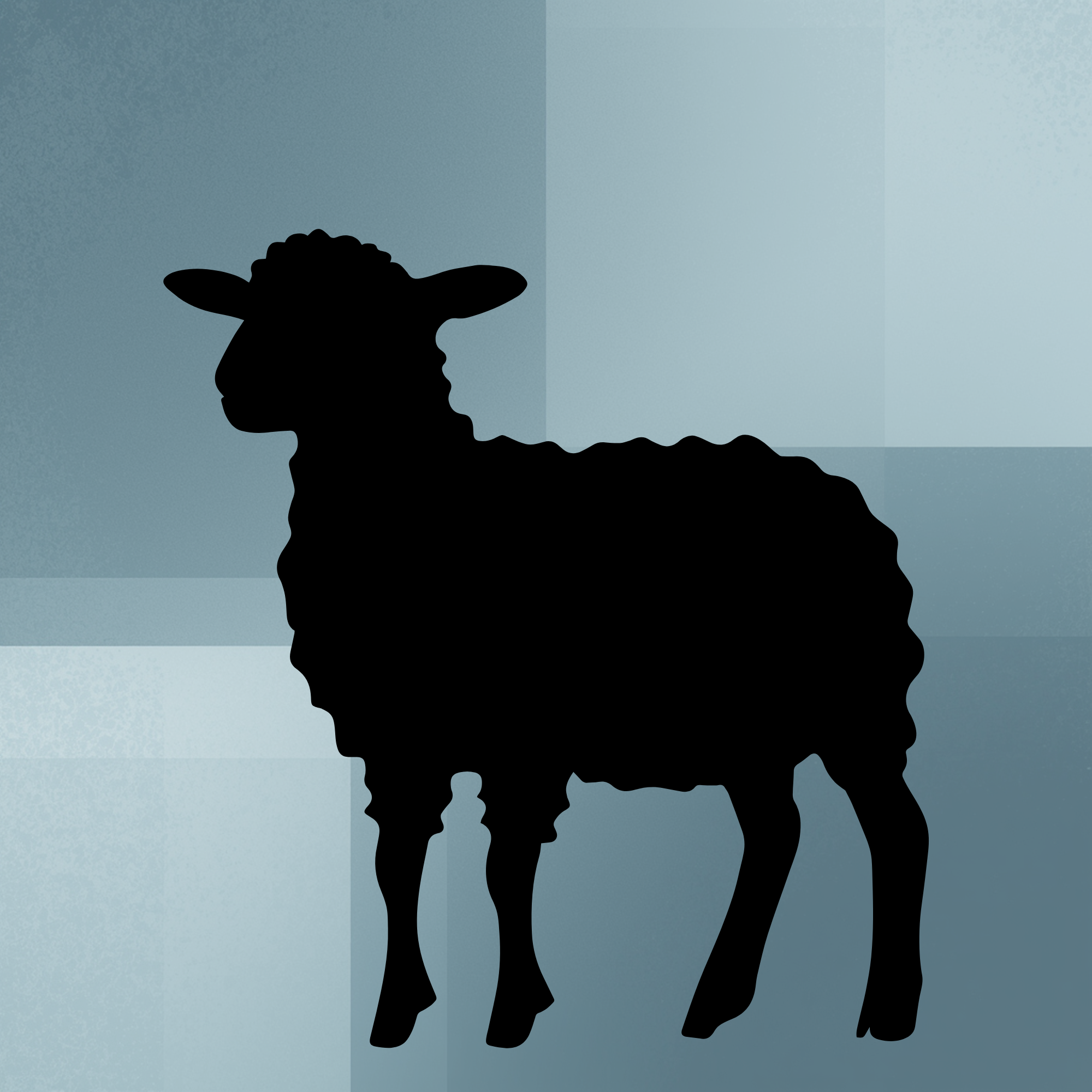 Agnello