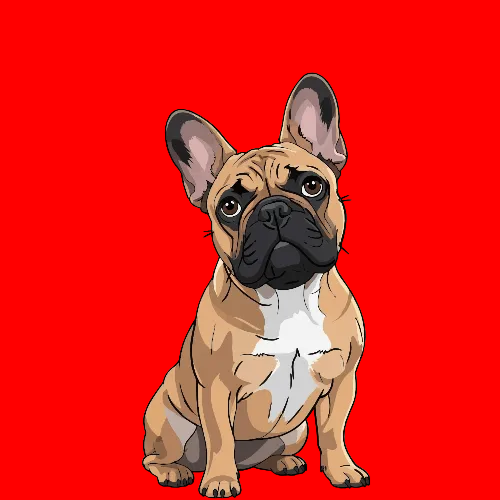 Bulldog Francese