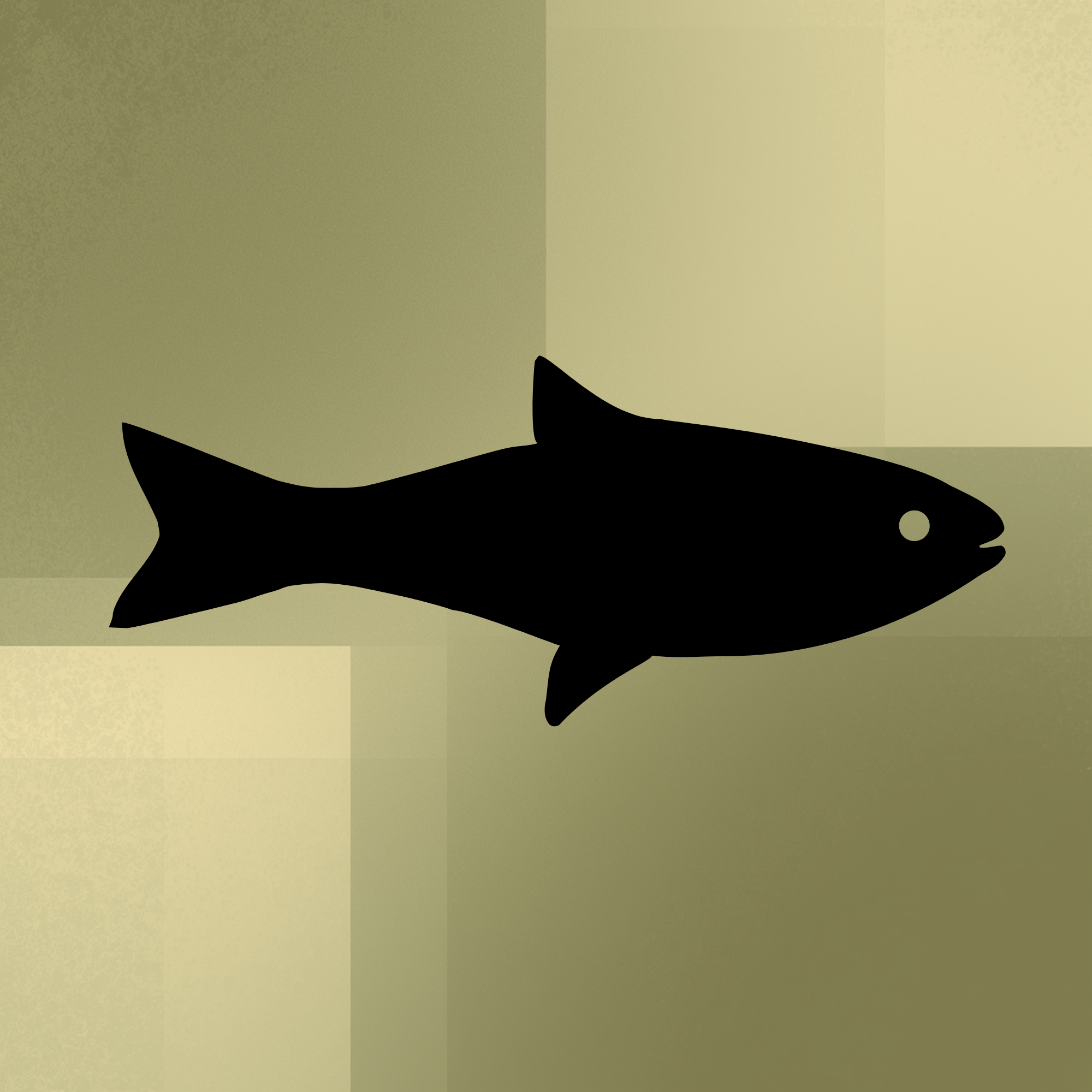 Pesce