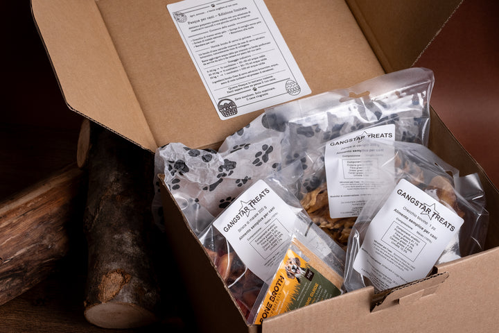 Scatola di Pasqua per cani – Edizione limitata