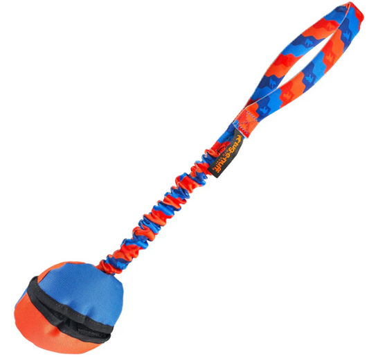 Cozza Bungee – Il Gioco da Riporto, Tira e Premia che Ogni Cane Goloso Amerà!