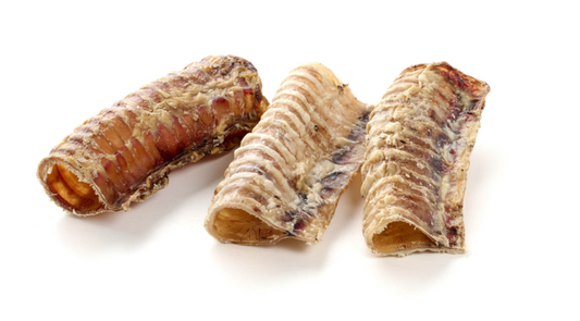 Trachea di Manzo Essiccata Corta (3–10 cm) – Confezione da 250g