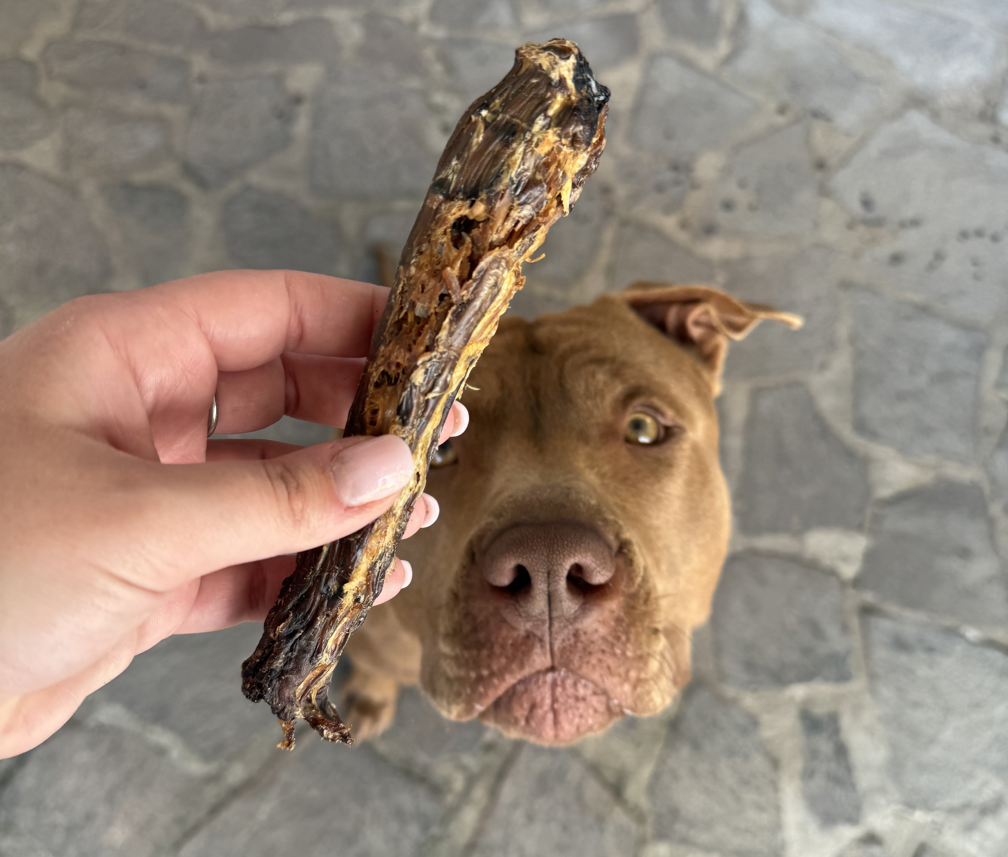 Colli di Anatra Essiccati *200GR*