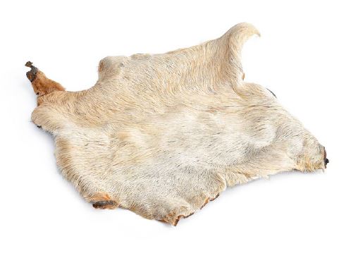 Corteccia di Pelle di Manzo con Pelo – Masticativo Naturale e Durevole per Cani (1 Pezzo ~250g)