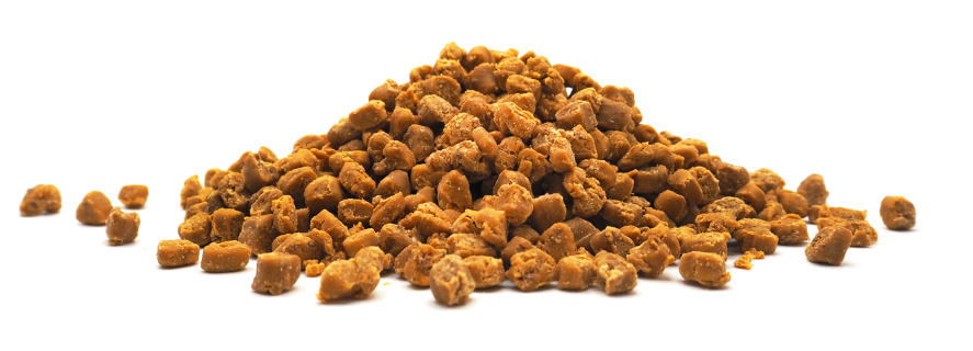 Premietti Formaggiosi al Pollo per Cani – Mini Bocconcini Morbidi 200g