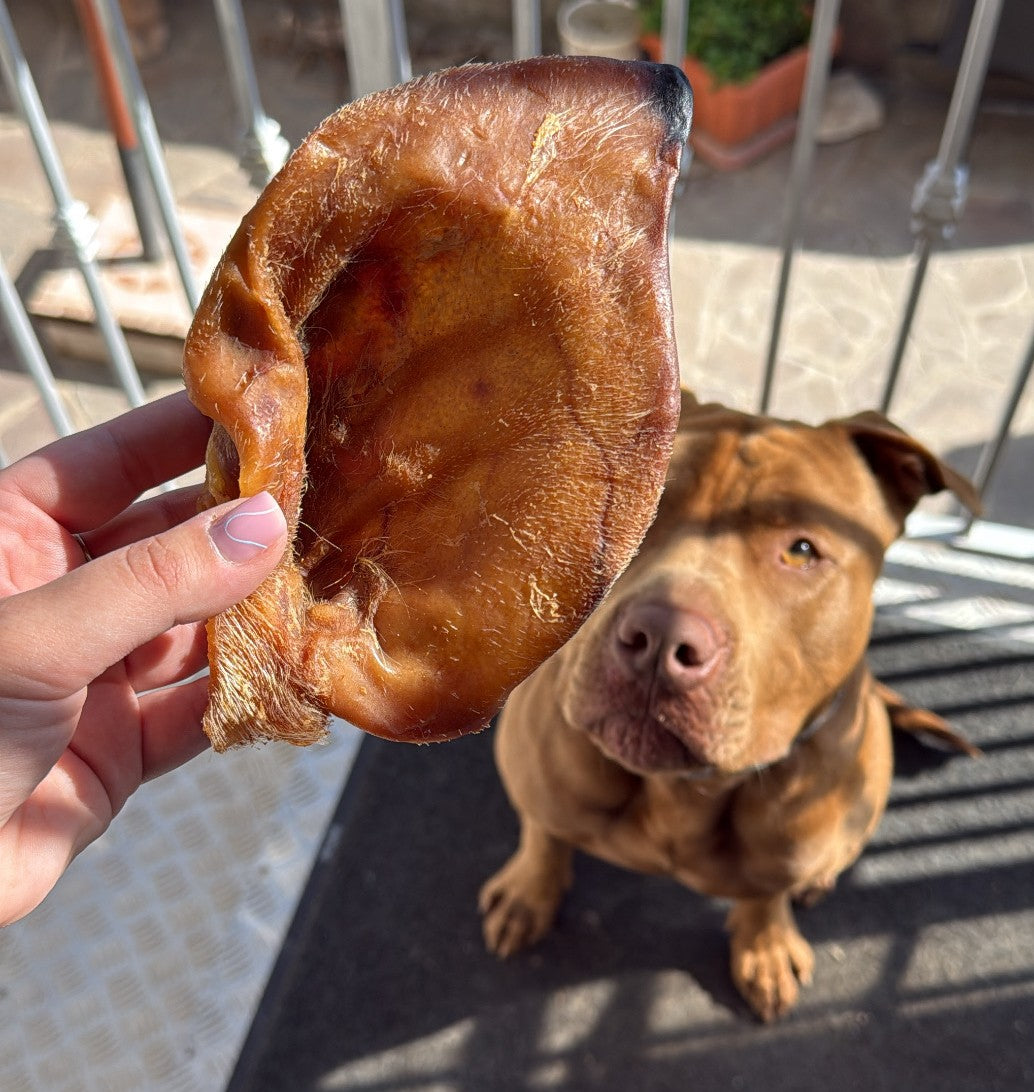 Orecchie di Cinghiale Cani Senza Pelo Monoproteiche 5pz
