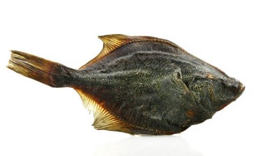 Pesce "Passera" ( Platessa )Essiccato   AL PEZZO