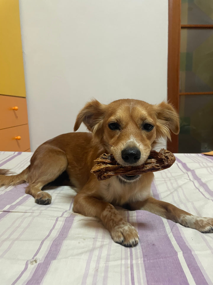 Mammella di Bovino Essiccata per Cani – Snack Naturale Appetibile 250g