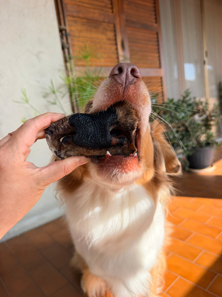 Muso di Manzo con Pelo per Cani – Snack Naturale Extra Duro 250g