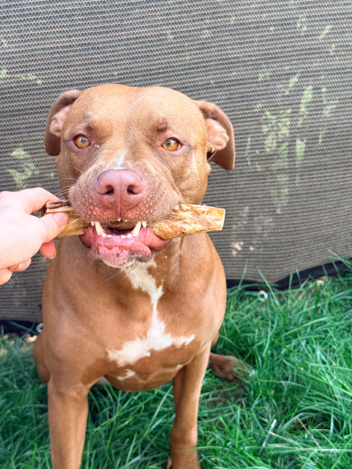 Abomaso di Manzo Essiccato per Cani – Snack Naturale Digestivo 250g