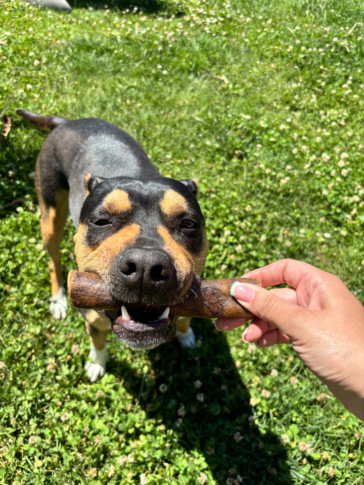 Cuoio di Cavallo Essiccato 200g – Snack Ipoallergenico per Cani