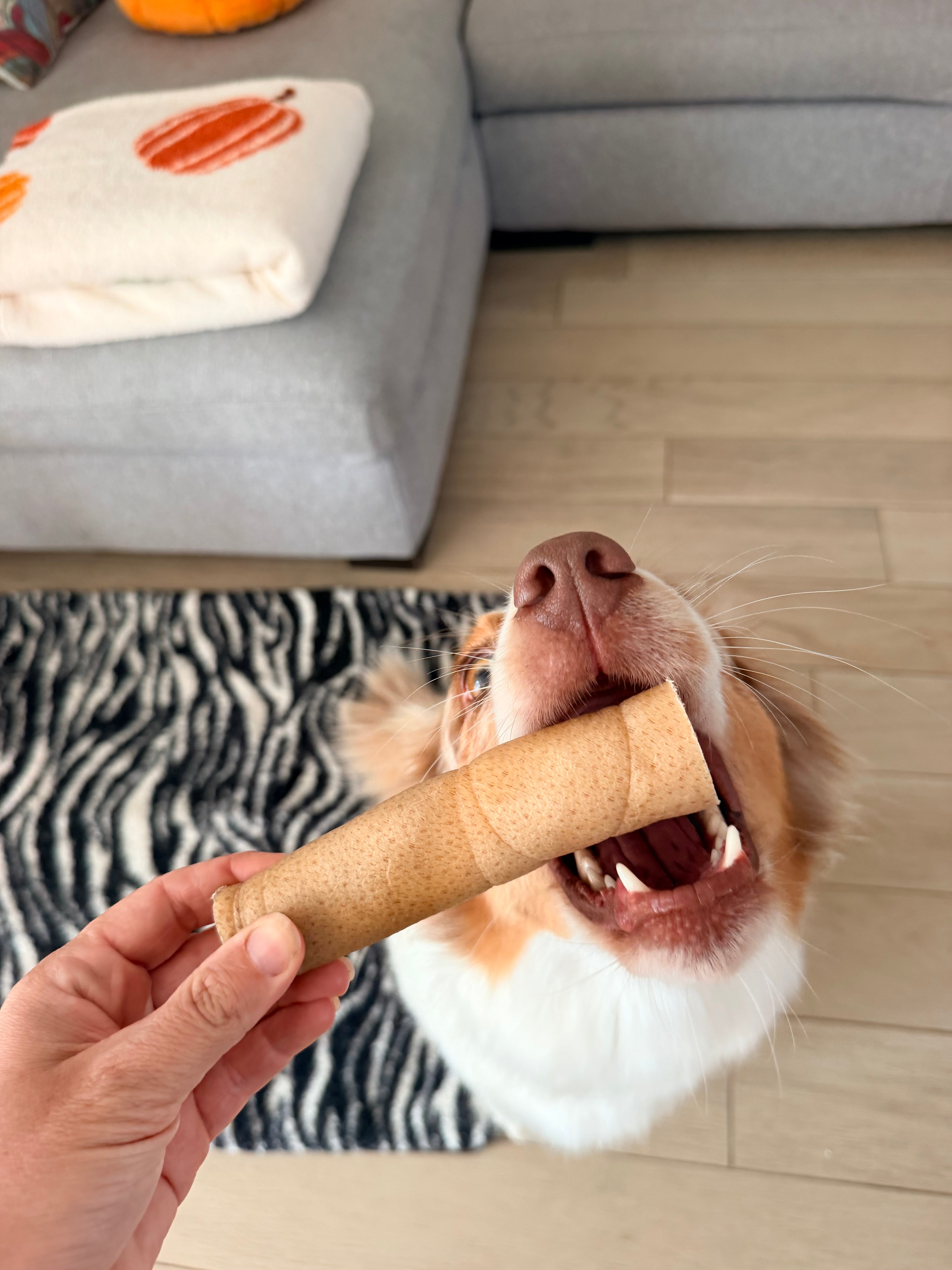 Rotoli di Guancia di Manzo per Cani 300g | Snack Masticativo Naturale a Lunga Durata