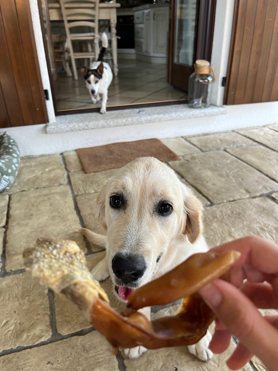 Fette di Orecchio di Maiale Avvolte in Pelle di Merluzzo – Snack Naturale per Cani (1 Pezzo)
