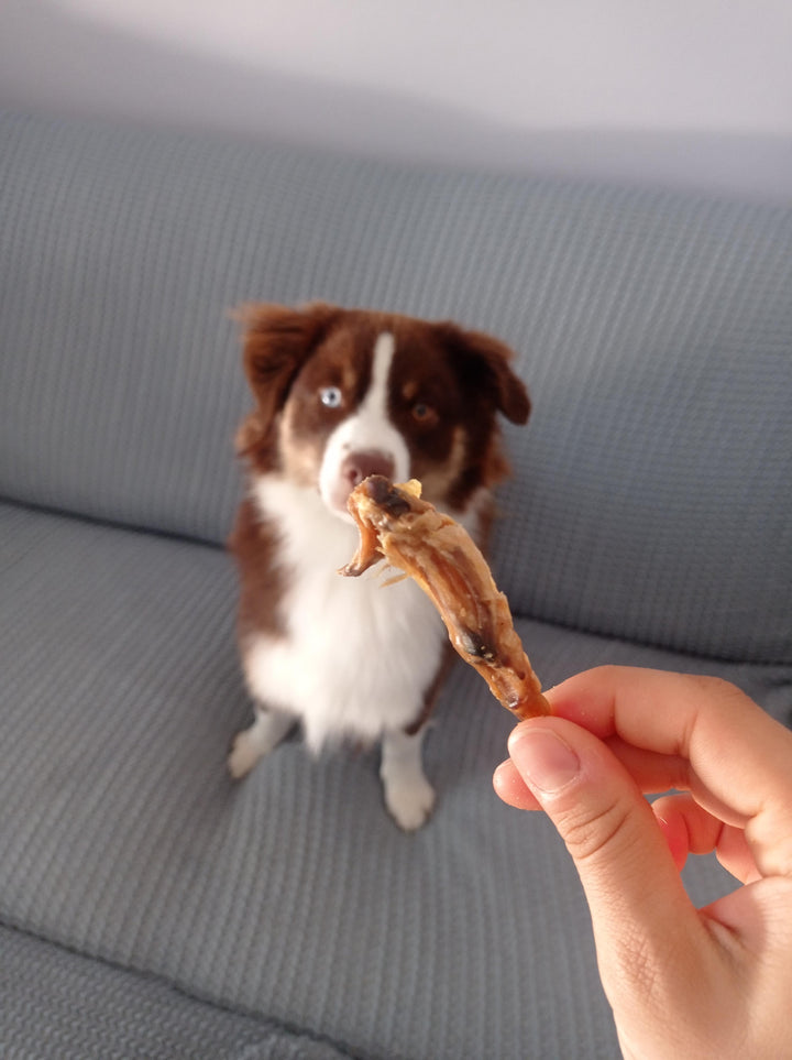 Alette di Pollo Essiccate per Cani – Snack Croccante Monoproteico 250g