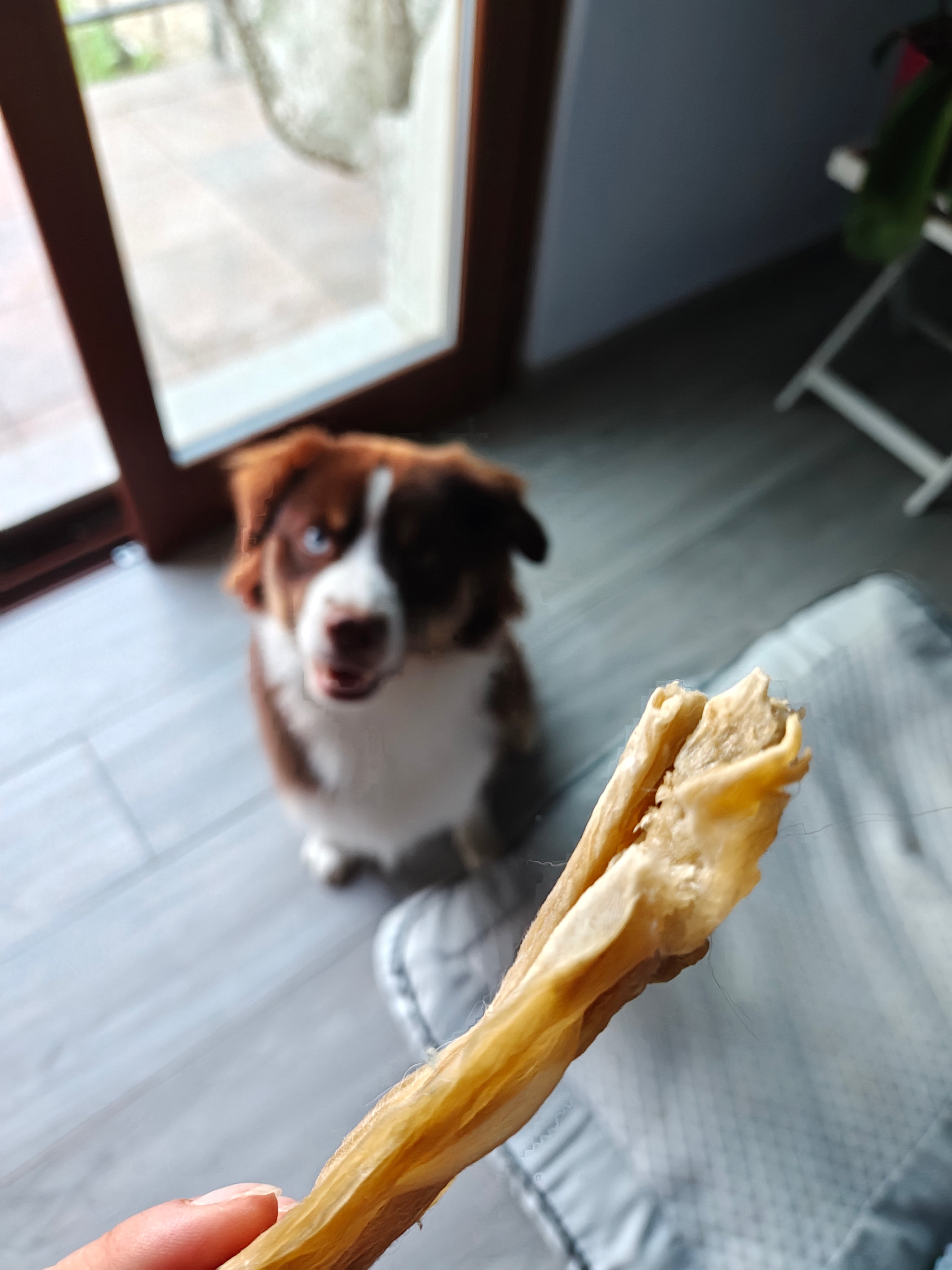 Tendine di Achille di Manzo Essiccato per Cani – Snack Naturale Extra Resistente 250g