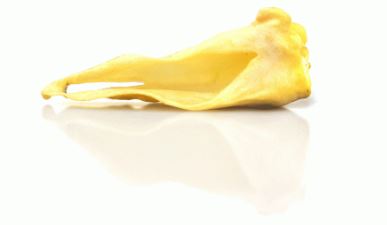 Orecchie Di Agnello Con Cuoio Essiccate  *200gr*