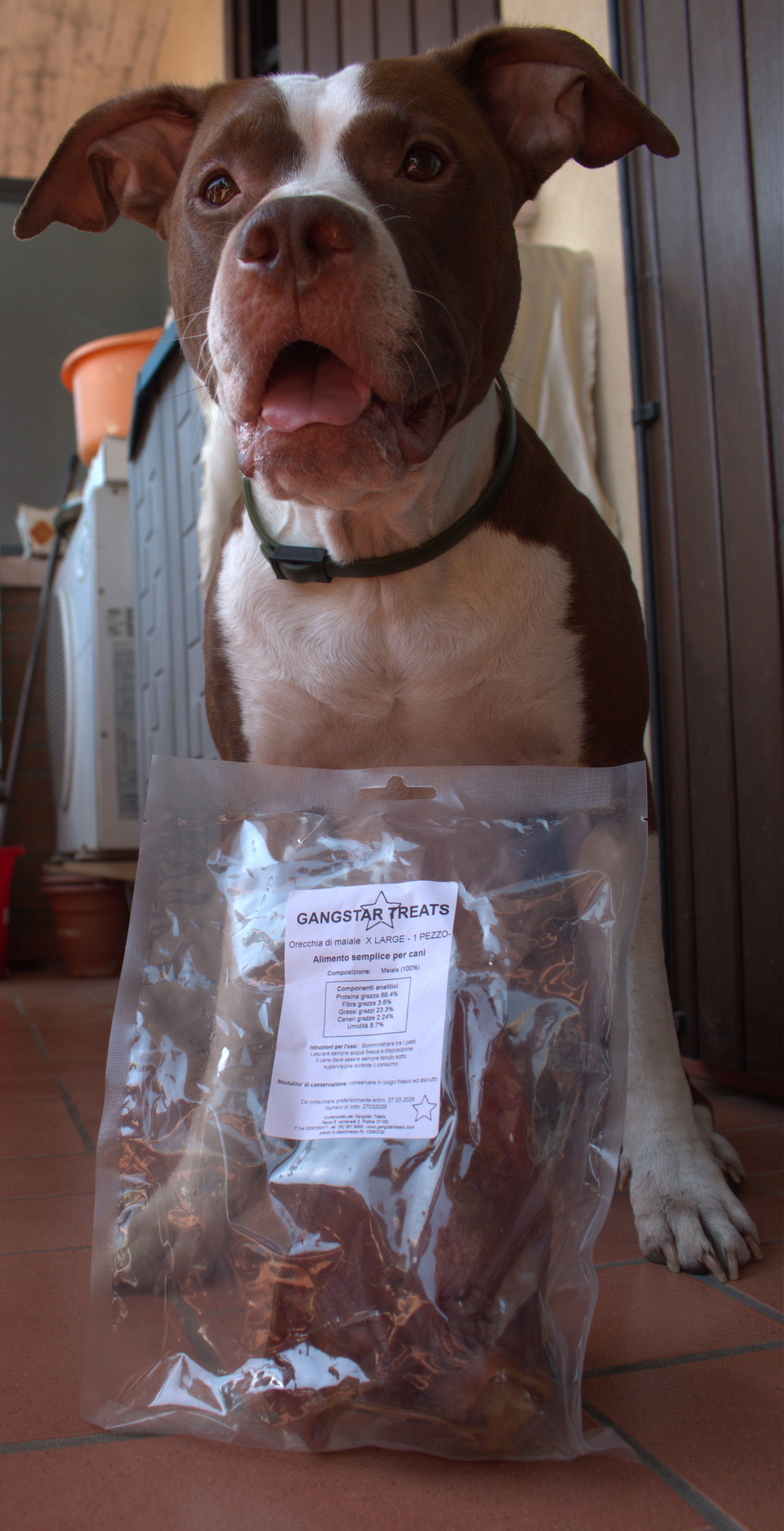 Orecchie di Maiale Essiccate per Cani – Snack Naturale da Masticare (circa 50g)