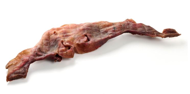 Naso di Manzo XXL – 40/80 cm *1 PEZZO*