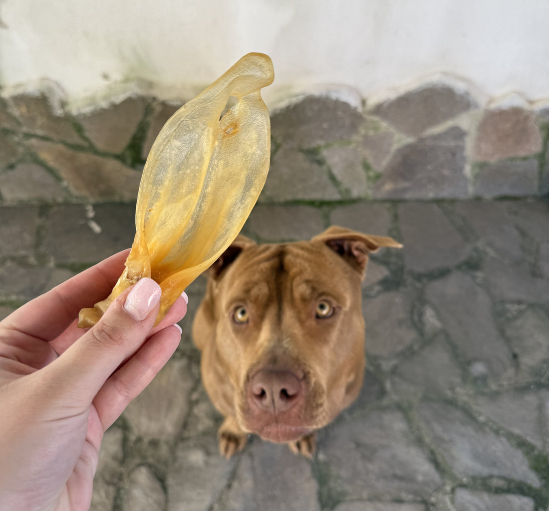 Orecchie di Agnello con Cuoio – Snack 2 in 1 per Cani Naturale 200gr