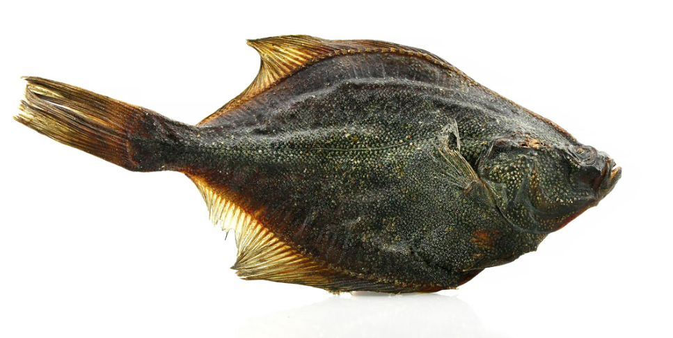 Pesce "Passera" ( Platessa )Essiccato  *300gr*
