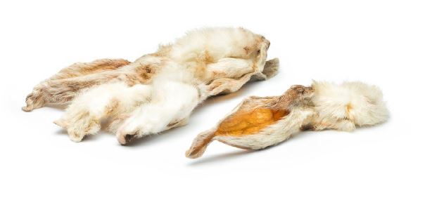 Orecchie di Coniglio CON PELO/SENZA PELO