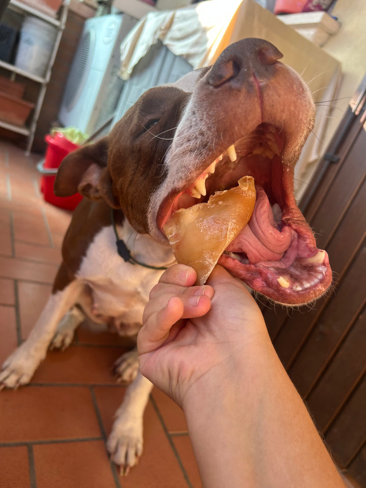 Zoccoli di Vitello per Cani – Snack Naturale Duro e Lunga Durata (5 Pezzi)