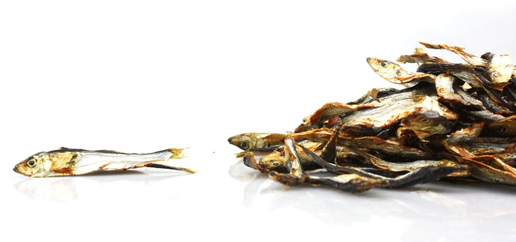 Pesce Spratto Essiccato  200gr