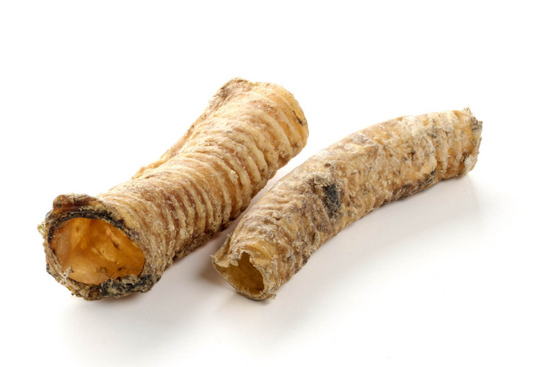 Trachee di Cammello Essiccate per Cani – Confezione da 250g