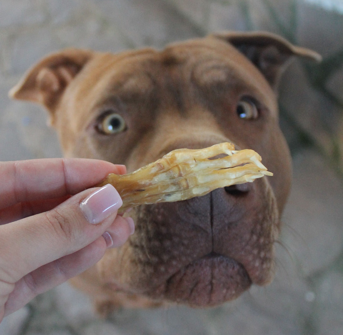 Zampa di Coniglio Essiccata SENZA Pelo 200 g – Snack Naturale Ipoallergenico per Cani Sensibili