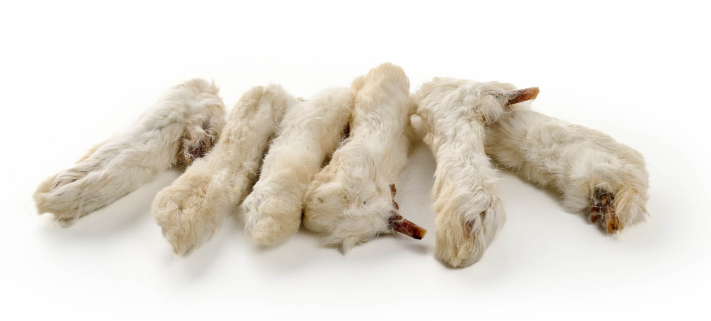 Zampe del coniglio con pelo  *250gr*